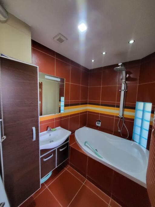 Апартаменти Luxusni Mezonet V Centru Ліберець Екстер'єр фото